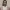 https://res.cloudinary.com/billionhands/image/upload/v1770058427/items/des3rknzthgsjjjsnkuu.jpg-3cover