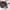 https://res.cloudinary.com/billionhands/image/upload/v1770058509/items/nw8wj9qmuxrnycxgd30e.webp-3cover