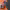 https://res.cloudinary.com/billionhands/image/upload/v1770058807/items/oazrqaez1uc6e59wzhbn.webp-0cover