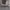 https://res.cloudinary.com/billionhands/image/upload/v1770058991/items/bixabspiaxwonix72y8y.jpg-3cover
