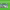 https://res.cloudinary.com/billionhands/image/upload/v1770059004/items/nkvq3qc9vvkqiy2qdfv1.jpg-1cover