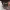 https://res.cloudinary.com/billionhands/image/upload/v1770059078/items/svajtp2fltwojpmjm31m.webp-2cover