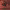 https://res.cloudinary.com/billionhands/image/upload/v1770059177/items/b3m2dp2mvbsvcmpcjzxy.webp-2cover