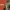 https://res.cloudinary.com/billionhands/image/upload/v1770059191/items/e7ulg4aekz1lmwfcly6k.webp-1cover