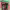 https://res.cloudinary.com/billionhands/image/upload/v1770059282/items/fwil9lcvuwgr4nsl5eob.jpg-2cover