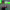 https://res.cloudinary.com/billionhands/image/upload/v1770059284/items/iyeuksjgr8kmkschgfza.jpg-3cover
