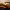 https://res.cloudinary.com/billionhands/image/upload/v1770059406/items/g0e24ucakalkxbh0i0kn.jpg-3cover