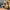 https://res.cloudinary.com/billionhands/image/upload/v1770059567/items/cznvxfeysd1mtmqfomfh.webp-2cover