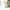 https://res.cloudinary.com/billionhands/image/upload/v1770059651/items/ccutrzkimr7deeu4fgc8.jpg-1cover