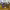 https://res.cloudinary.com/billionhands/image/upload/v1770059725/items/sdxtgkd7uw6ll45hkp4w.jpg-2cover