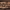 https://res.cloudinary.com/billionhands/image/upload/v1770059783/items/gpwrnxuodhpupgjyl4sk.webp-1cover