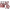 https://res.cloudinary.com/billionhands/image/upload/v1770059954/items/bjkhgeqljttkshvaeps2.webp-2cover