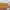 https://res.cloudinary.com/billionhands/image/upload/v1770060023/items/vwokbxm0kktfqlmoijvo.jpg-2cover
