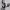 https://res.cloudinary.com/billionhands/image/upload/v1770060057/items/rbg6ammtvwum0sqfvp9r.jpg-1cover