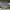 https://res.cloudinary.com/billionhands/image/upload/v1770060129/items/axnmexgfagrltkh0koqz.jpg-2cover