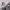 https://res.cloudinary.com/billionhands/image/upload/v1770060146/items/czdw4la48yuhcuqxhfga.jpg-3cover