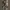 Sagrada Estudio (Ourense) cover