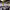 https://res.cloudinary.com/billionhands/image/upload/v1770060521/items/vvcubpzhq4sg6pbta7tt.webp-2cover