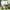 https://res.cloudinary.com/billionhands/image/upload/v1770060917/items/ppfgczybnf9butqfurlh.png-2cover