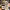 https://res.cloudinary.com/billionhands/image/upload/v1770060919/items/ky42qhdsyle3xdm3kzpz.webp-2cover