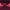 https://res.cloudinary.com/billionhands/image/upload/v1770061008/items/lifm71zbx65dgksg5rvg.jpg-3cover