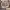 https://res.cloudinary.com/billionhands/image/upload/v1770061018/items/ji6dcwxew4qdwfttwjgg.jpg-3cover