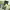 https://res.cloudinary.com/billionhands/image/upload/v1770061077/items/brr85uujuiakupnvds5j.jpg-2cover