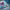 https://res.cloudinary.com/billionhands/image/upload/v1770061544/items/k9hbu06wbln38dyp1fwi.jpg-1cover