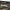 https://res.cloudinary.com/billionhands/image/upload/v1770061559/items/cqe9t4poejnljfbjuu0i.png-2cover