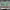 https://res.cloudinary.com/billionhands/image/upload/v1770062553/items/fdtghycvkuj5ungbveu5.jpg-0cover