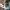 https://res.cloudinary.com/billionhands/image/upload/v1770062830/items/inzjuikcvufvsp5wdfb0.png-0cover