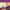 https://res.cloudinary.com/billionhands/image/upload/v1770103887/items/fiti4uwyubnkpvqmeeuo.jpg-1cover