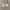 https://res.cloudinary.com/billionhands/image/upload/v1770190059/items/uunygdmmsfyyvnpmeztd.jpg-0cover