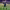 https://res.cloudinary.com/billionhands/image/upload/v1770276488/items/xd8cdwfdncmfnkjohsfa.jpg-0cover