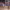 https://res.cloudinary.com/billionhands/image/upload/v1770276513/items/mzuqbbtz1labyzd5npnc.jpg-3cover