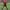 https://res.cloudinary.com/billionhands/image/upload/v1770362884/items/yybfidavoymfewwrx3m5.jpg-0cover