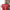 https://res.cloudinary.com/billionhands/image/upload/v1770362895/items/qhckestnukk8rm8aagtj.jpg-0cover