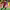 https://res.cloudinary.com/billionhands/image/upload/v1770362898/items/ayabx9xme5egmflrneg2.webp-0cover