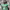 https://res.cloudinary.com/billionhands/image/upload/v1770386393/items/stt5ov5sqqslthnyvedg.jpg-0cover