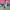 Michelle Akers cover