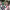 https://res.cloudinary.com/billionhands/image/upload/v1770386409/items/lgfqz6gldpwgngrpebom.png-0cover