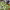 https://res.cloudinary.com/billionhands/image/upload/v1770386416/items/n8obpvzjrgptgghduxjb.jpg-3cover