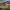 https://res.cloudinary.com/billionhands/image/upload/v1770421190/items/zbyx0kndjl0bfc0z1ukk.jpg-1cover