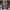 https://res.cloudinary.com/billionhands/image/upload/v1770449254/items/wagjojlrfgx7kpwxl5it.jpg-2cover
