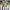 https://res.cloudinary.com/billionhands/image/upload/v1770449255/items/mezvq3ji1fadkgwmp9iu.webp-3cover