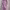 Matching Pajamas – Cozy Sleepwear Set cover