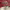 https://res.cloudinary.com/billionhands/image/upload/v1770449295/items/cnkib3lzmmuuwcxbxyhc.jpg-1cover