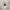 https://res.cloudinary.com/billionhands/image/upload/v1770449297/items/zdnitsmhxkhbocxzrqfe.webp-3cover