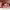 https://res.cloudinary.com/billionhands/image/upload/v1770449302/items/n2zirtjxk7cx5b8q8rea.webp-3cover