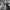 https://res.cloudinary.com/billionhands/image/upload/v1770535455/items/l1mhgdbmyd3ejdrfgml1.jpg-2cover